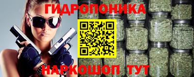 шишки Пушкино